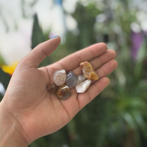 Small Floral Agate Polished Stone