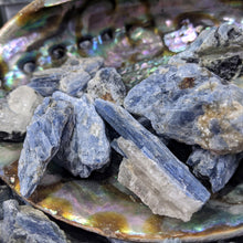 Load image into Gallery viewer, Raw Blue KYANITE Crystal - High Quality- Healing Stone Cluster, Healing Crystal, Chakra Crystal Kyanite Blade