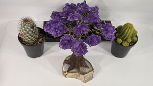 Amethyst Tree Of Life set on Agate Base, Tree Gemstone, Healing Gemstone tree, quartz tree, chakra tree