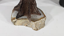 Load image into Gallery viewer, Amethyst Tree Of Life set on Agate Base, Tree Gemstone, Healing Gemstone tree, quartz tree, chakra tree