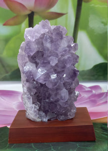 Amethyst Geode on Wood Base, Raw Amethyst Cluster, Collectible Amethyst